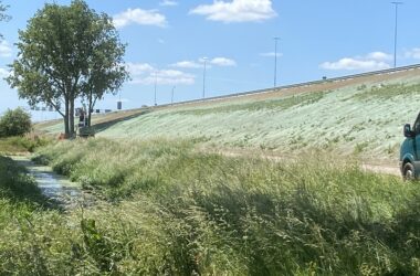 Verbreding A1 Apeldoorn-Azelo, hydroseeding Dijklichamen